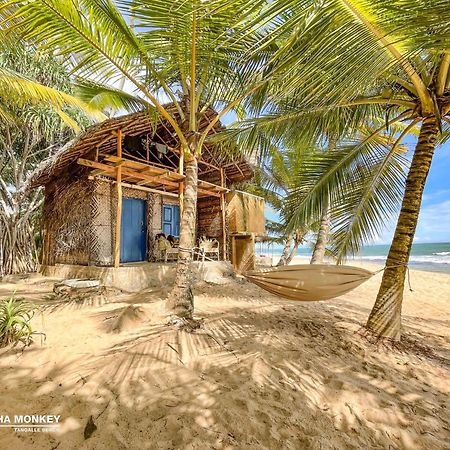 The Alpha Monkey Hotel & Tree House แทนกาลเล ภายนอก รูปภาพ