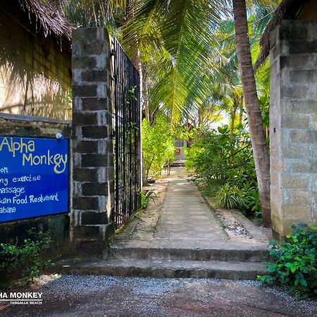 The Alpha Monkey Hotel & Tree House แทนกาลเล ภายนอก รูปภาพ