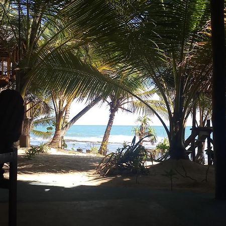 The Alpha Monkey Hotel & Tree House แทนกาลเล ภายนอก รูปภาพ