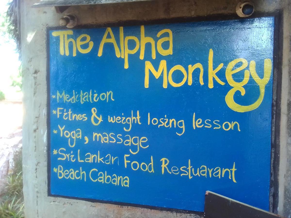 The Alpha Monkey Hotel & Tree House แทนกาลเล ภายนอก รูปภาพ