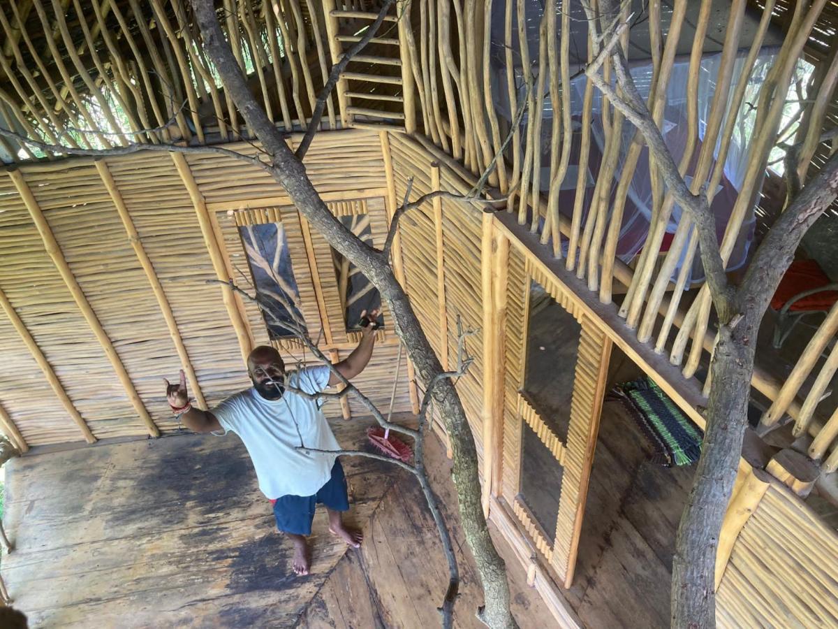 The Alpha Monkey Hotel & Tree House แทนกาลเล ภายนอก รูปภาพ