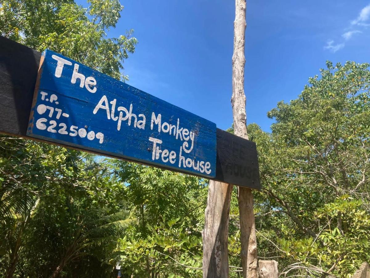 The Alpha Monkey Hotel & Tree House แทนกาลเล ภายนอก รูปภาพ