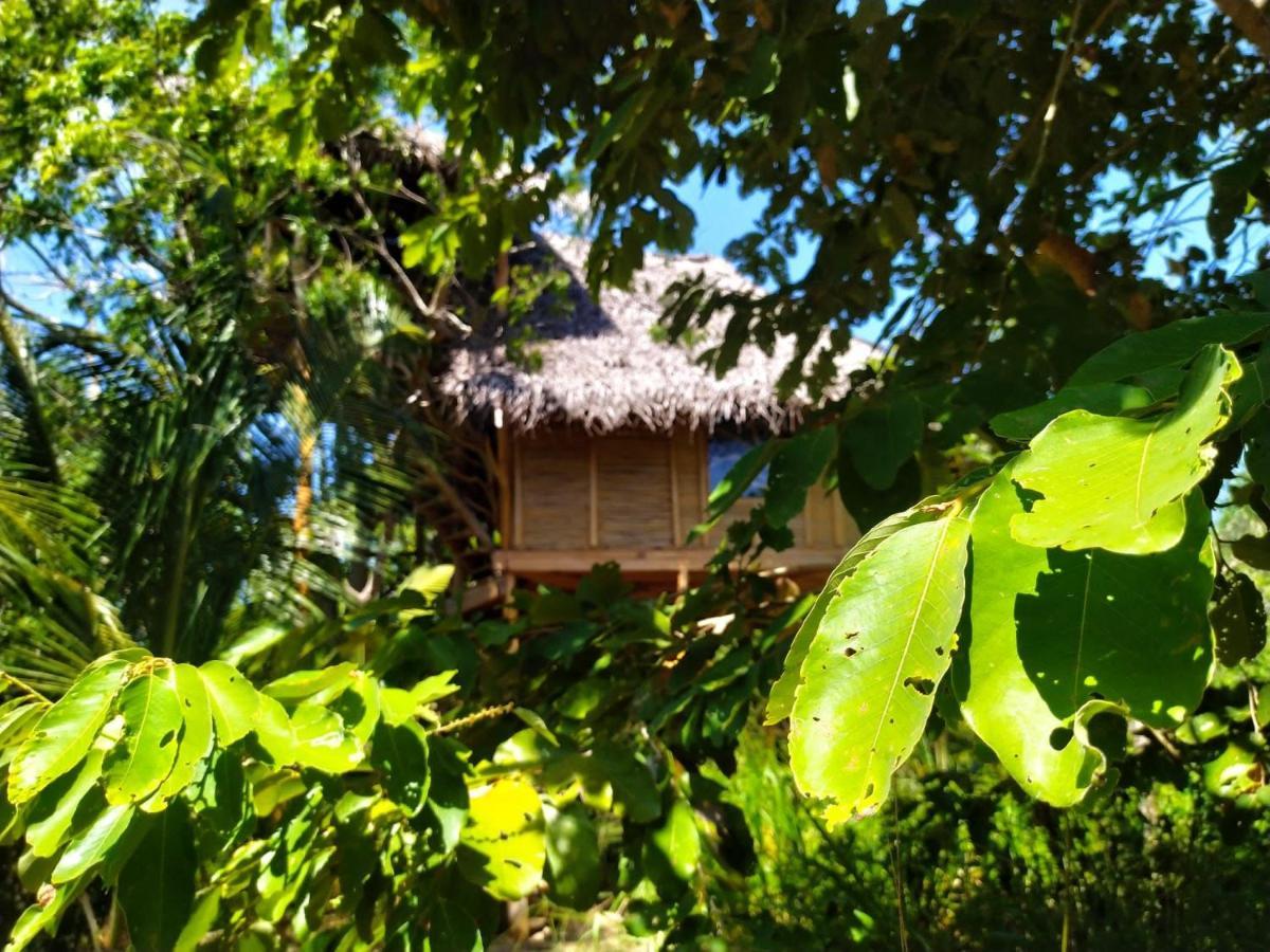 The Alpha Monkey Hotel & Tree House แทนกาลเล ภายนอก รูปภาพ