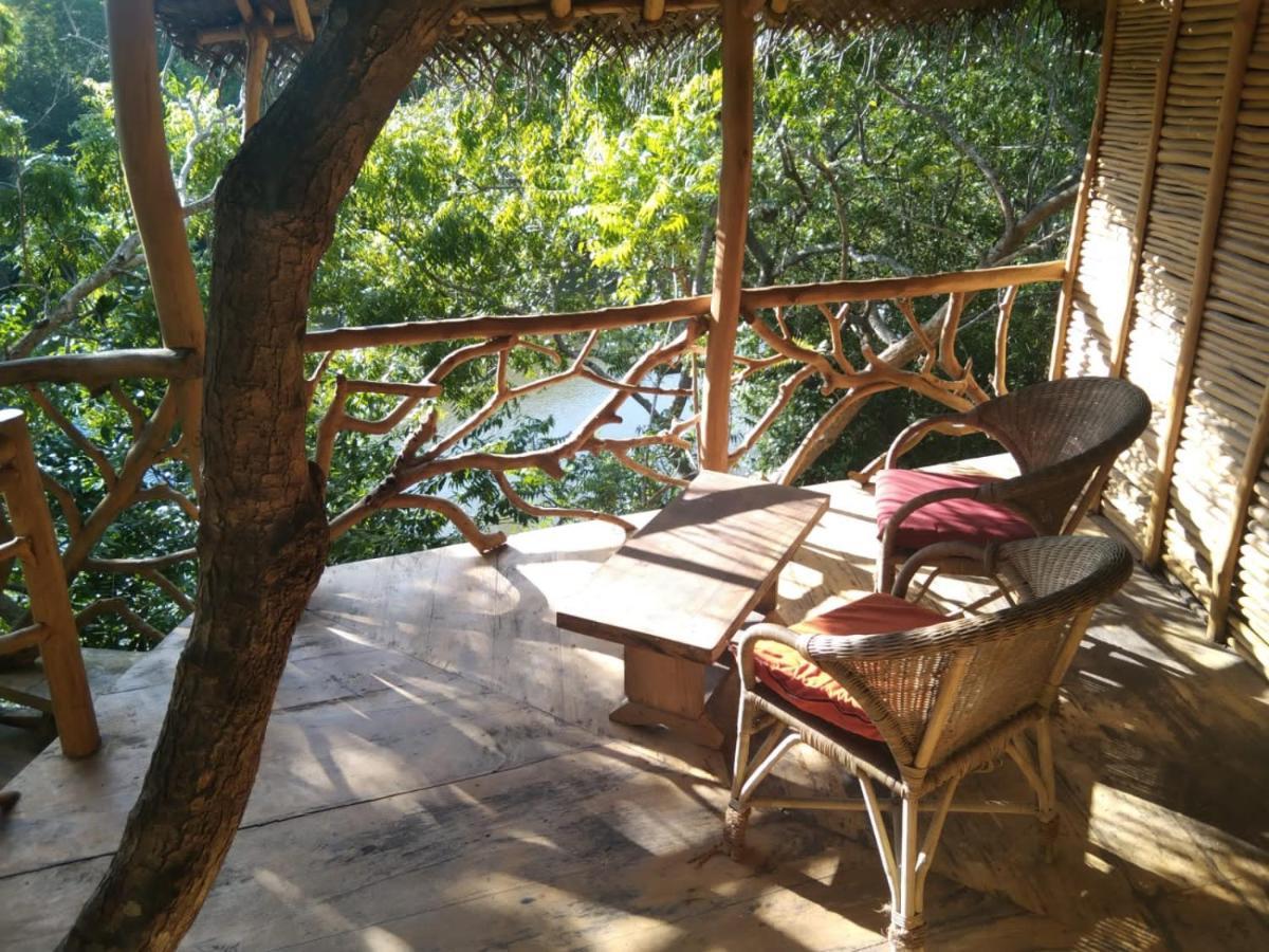 The Alpha Monkey Hotel & Tree House แทนกาลเล ภายนอก รูปภาพ