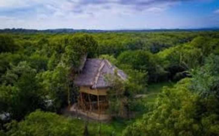 The Alpha Monkey Hotel & Tree House แทนกาลเล ภายนอก รูปภาพ