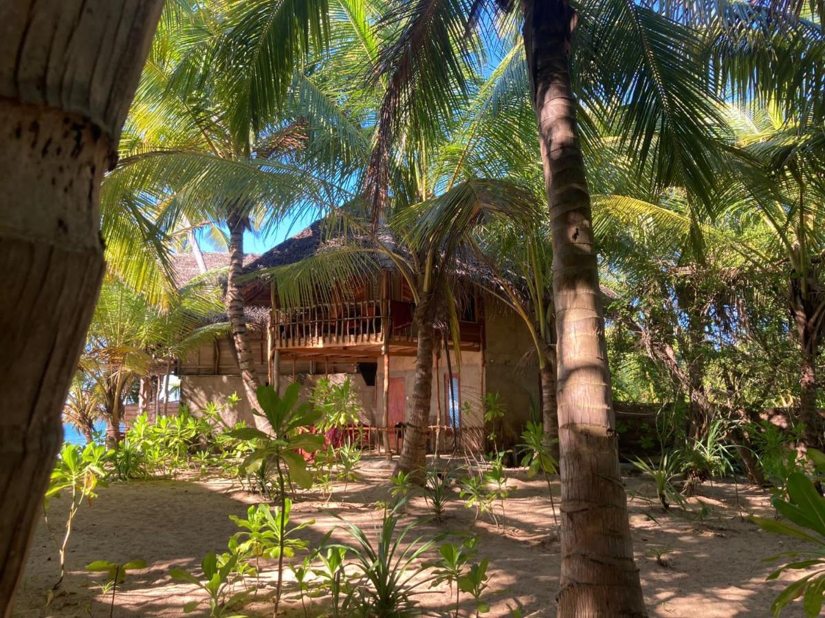 The Alpha Monkey Hotel & Tree House แทนกาลเล ภายนอก รูปภาพ