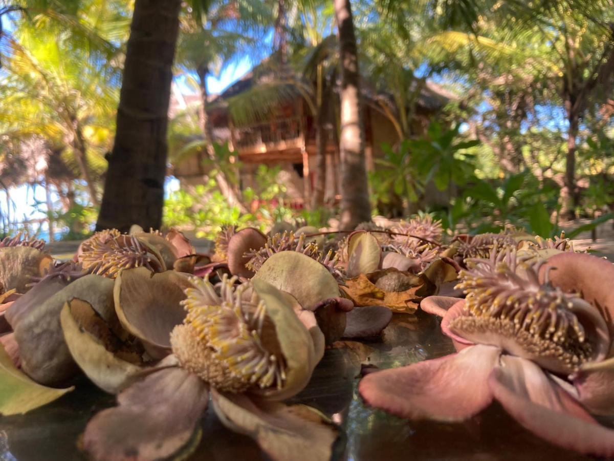 The Alpha Monkey Hotel & Tree House แทนกาลเล ภายนอก รูปภาพ