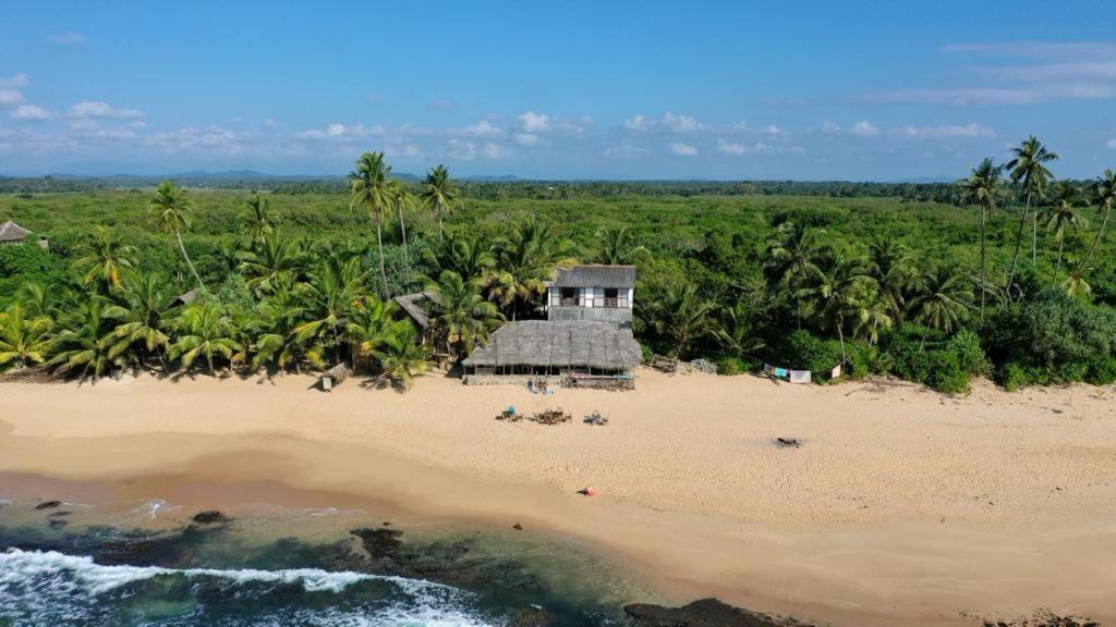 The Alpha Monkey Hotel & Tree House แทนกาลเล ภายนอก รูปภาพ