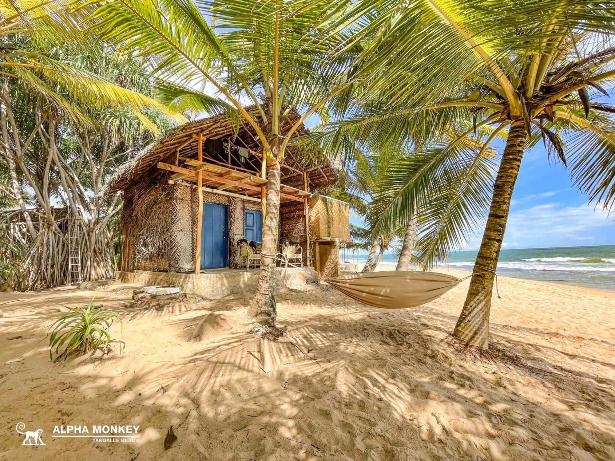 The Alpha Monkey Hotel & Tree House แทนกาลเล ภายนอก รูปภาพ