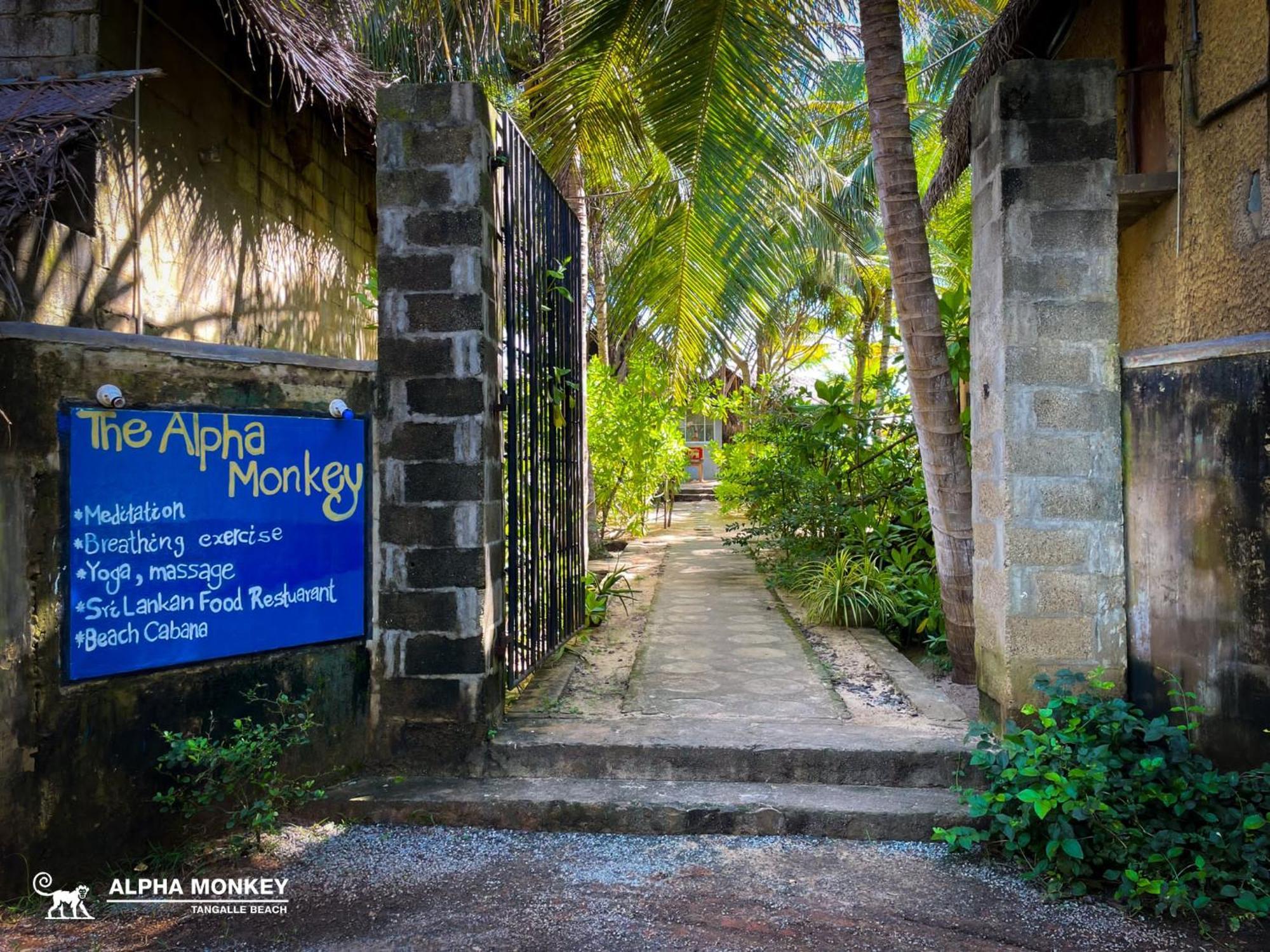 The Alpha Monkey Hotel & Tree House แทนกาลเล ภายนอก รูปภาพ