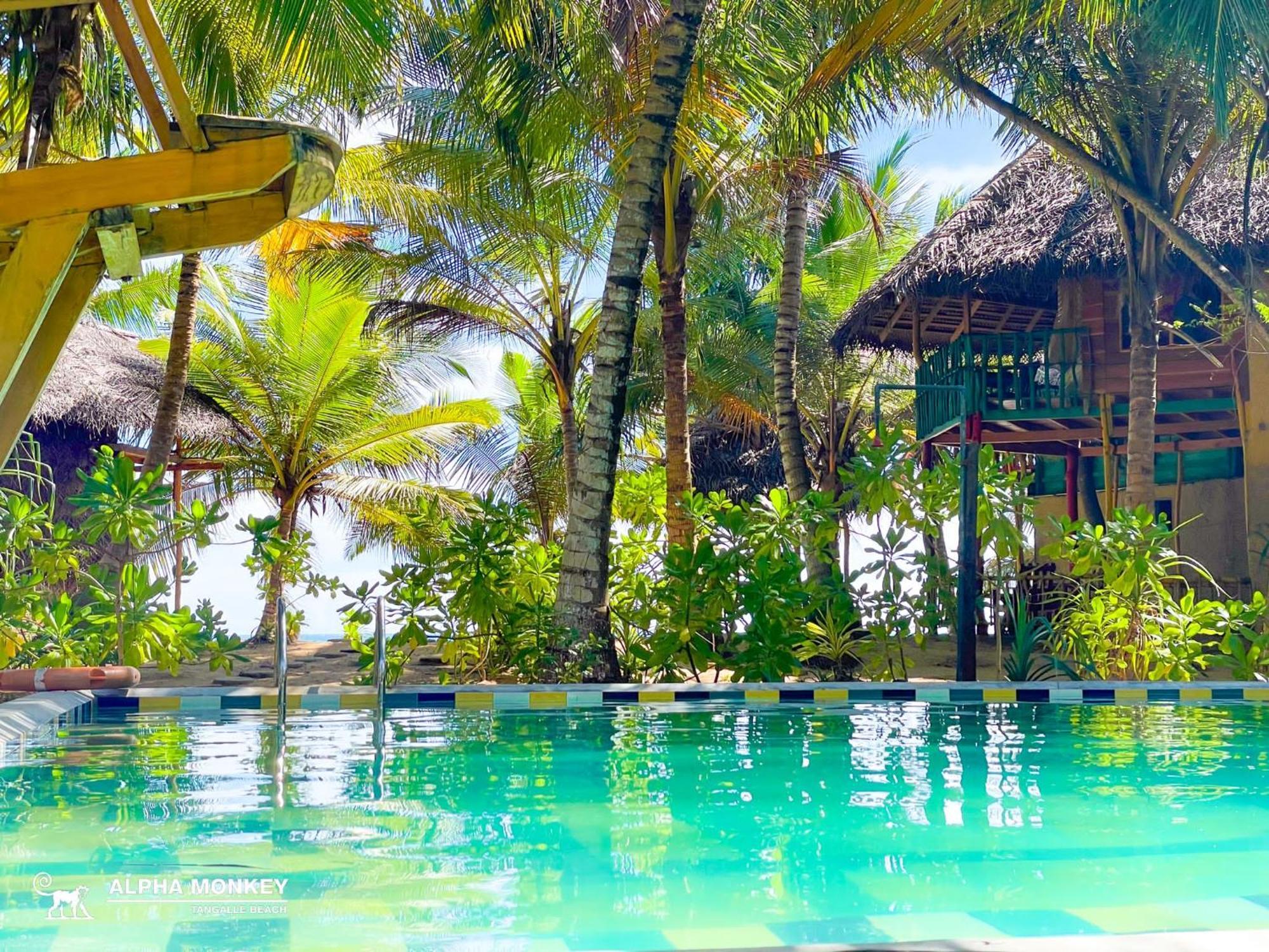 The Alpha Monkey Hotel & Tree House แทนกาลเล ภายนอก รูปภาพ