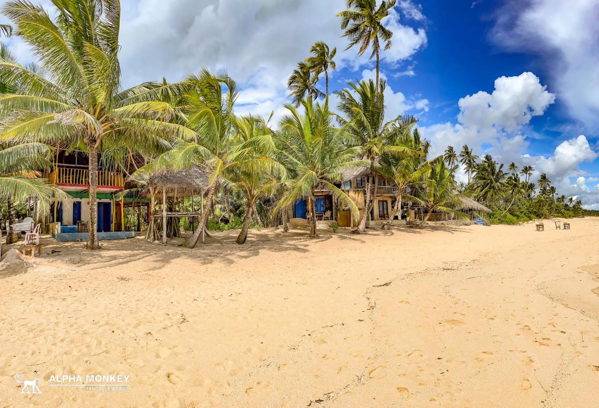 The Alpha Monkey Hotel & Tree House แทนกาลเล ภายนอก รูปภาพ