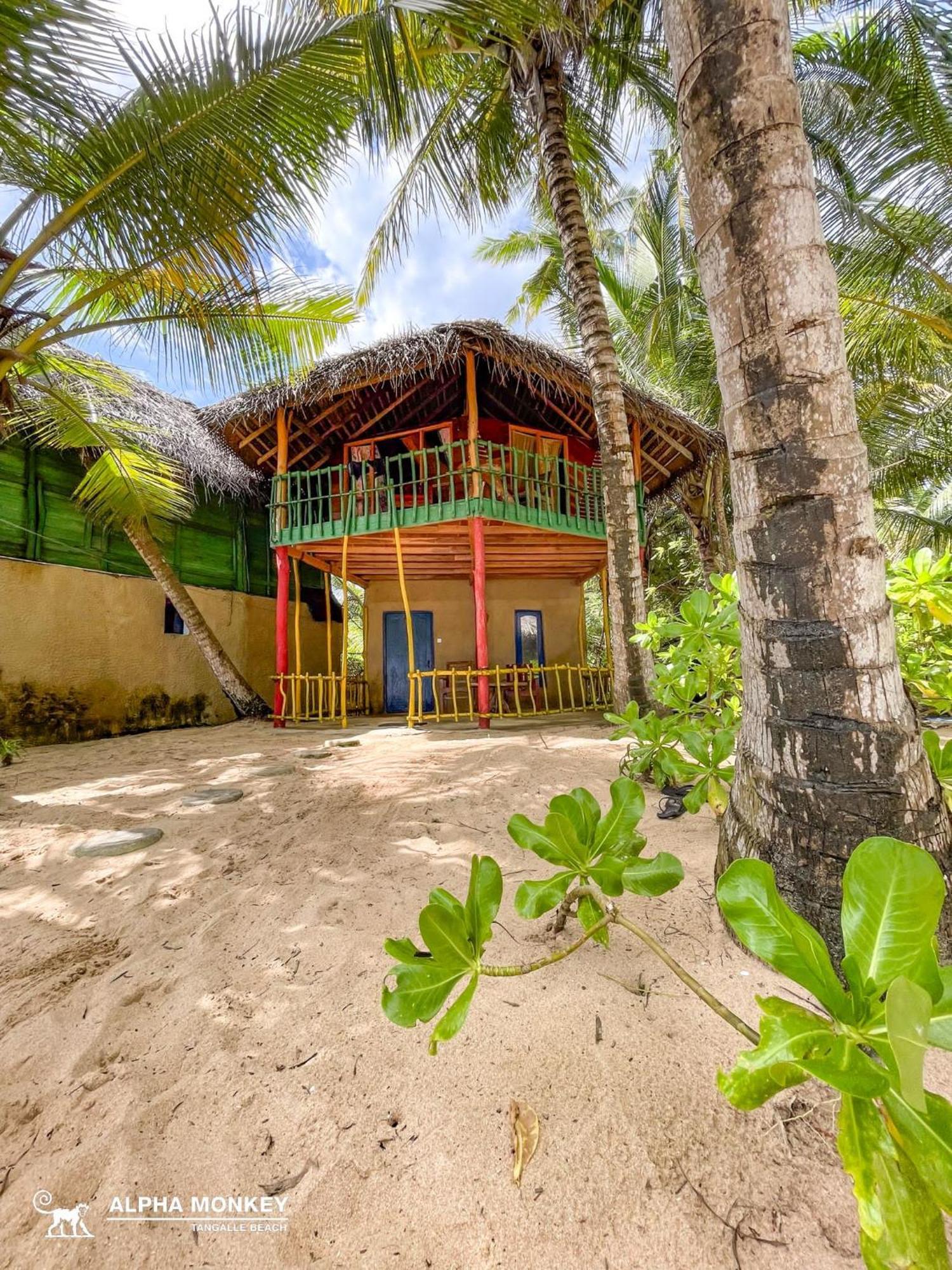 The Alpha Monkey Hotel & Tree House แทนกาลเล ห้อง รูปภาพ