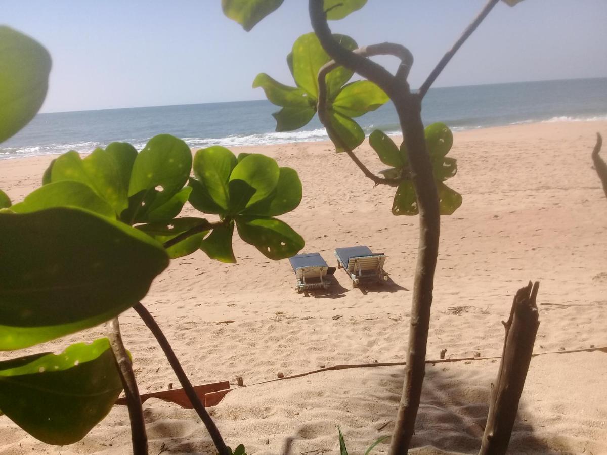 The Alpha Monkey Hotel & Tree House แทนกาลเล ภายนอก รูปภาพ